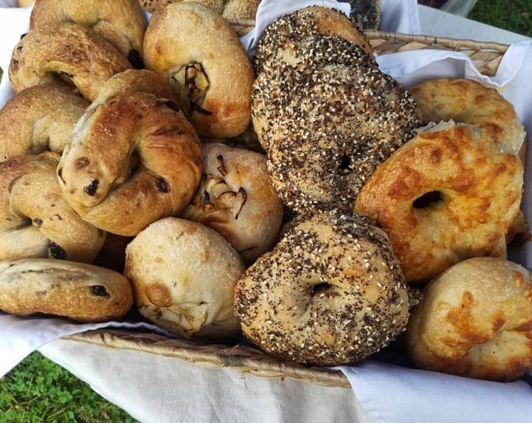 The Pennsylvania Bagel Bucket List Best Bagels in PA