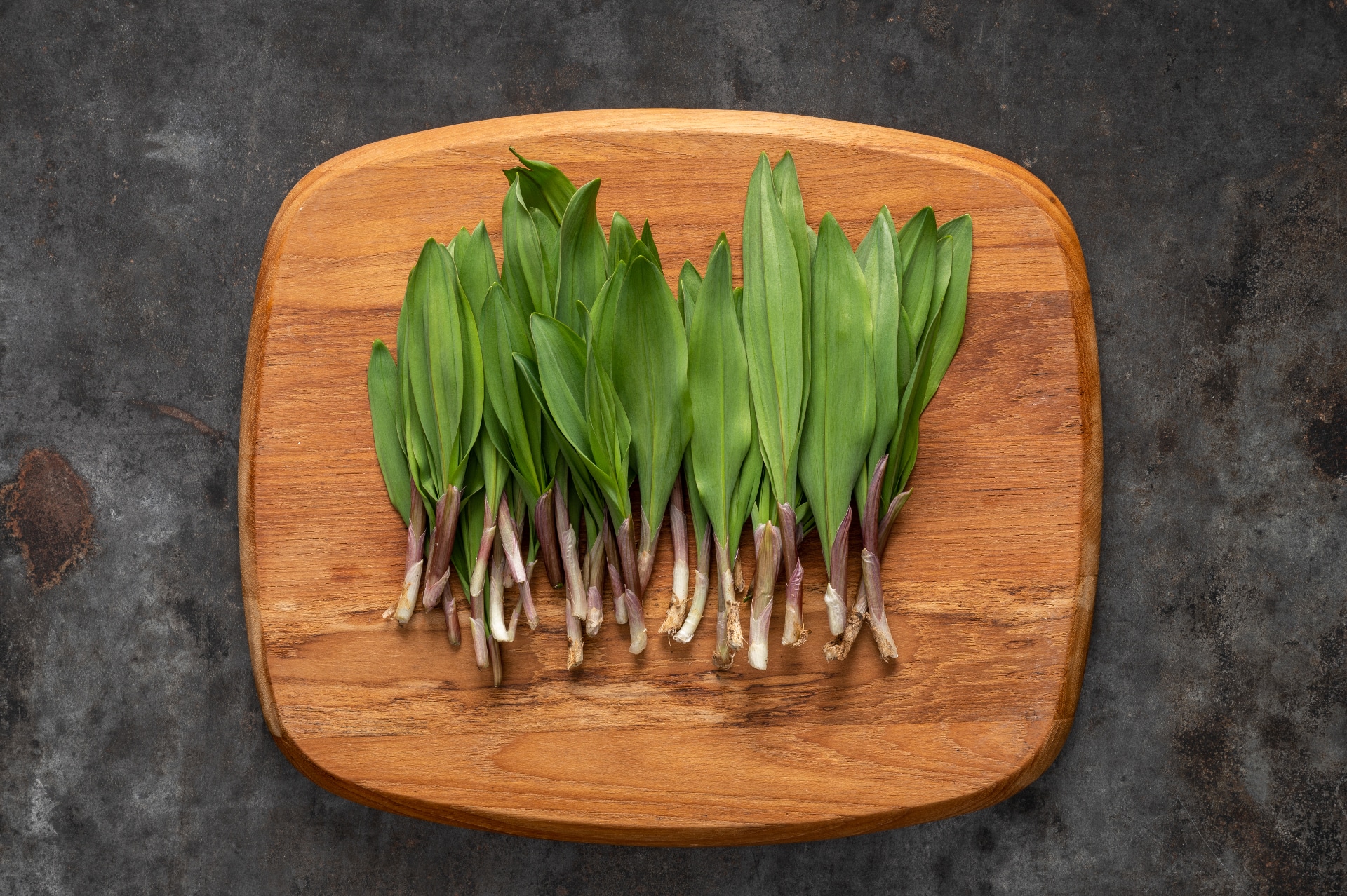 Foraged in Pennsylvania Ramps Wild Leeks Pennsylvania