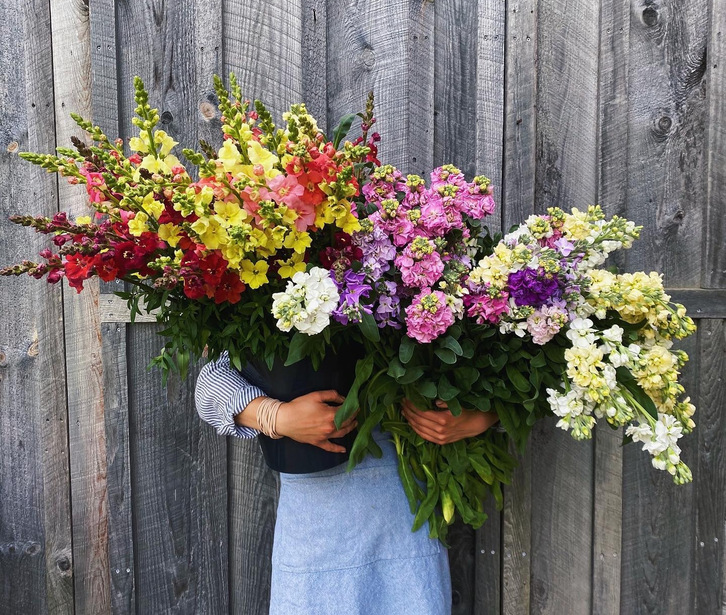 13 Places to Enjoy, Purchase and Pick Flowers in PA Pennsylvania Flowers